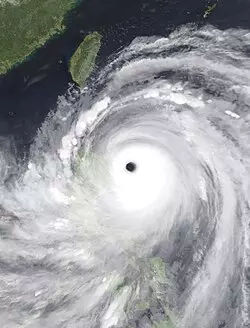 Deciding whether to travel Taiwan during a typhoon on a rainy street