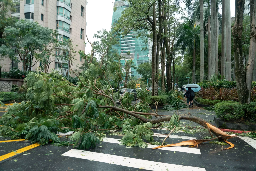 Traveler deciding whether to cancel a Taiwan hotel typhoon booking